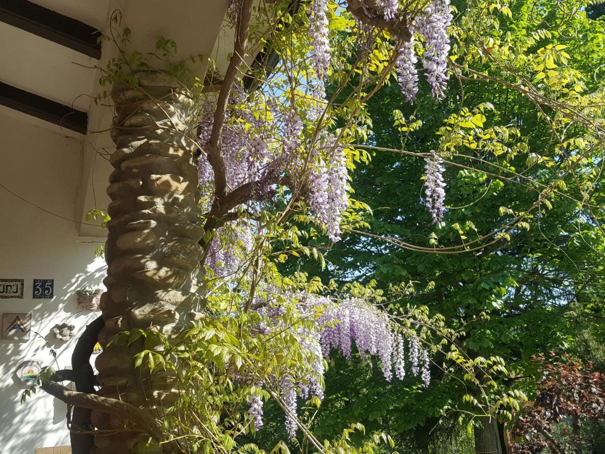 مونتيرنزيو La Meridiana House المظهر الخارجي الصورة